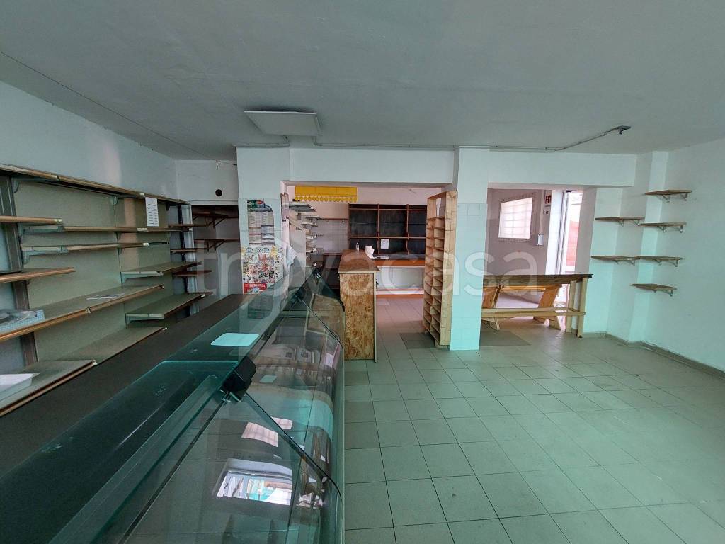 immagine annuncio 4 di 14