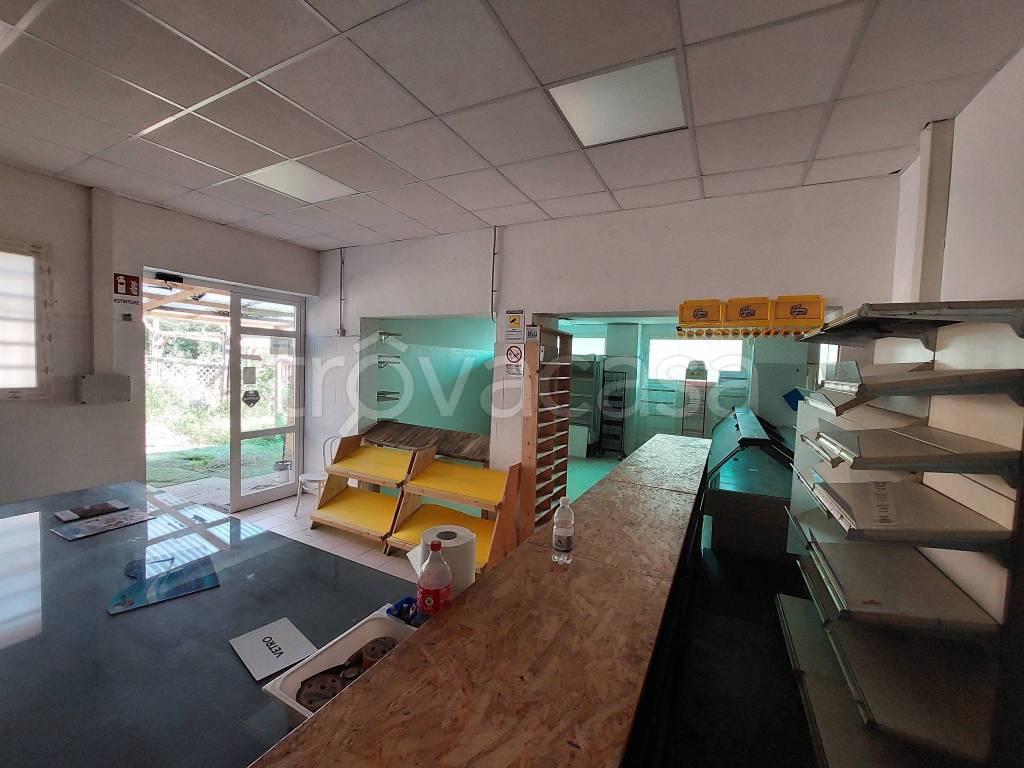 immagine annuncio 5 di 14