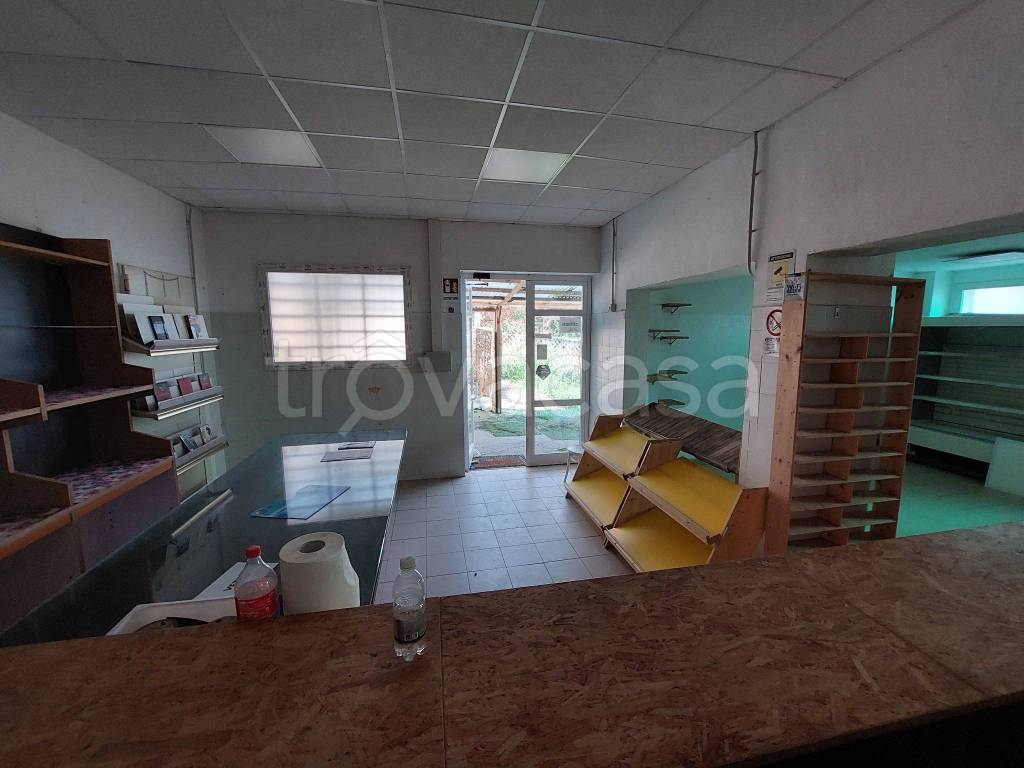 immagine annuncio 6 di 14