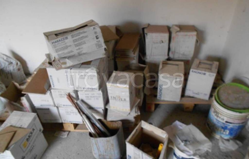 immagine annuncio 1 di 12