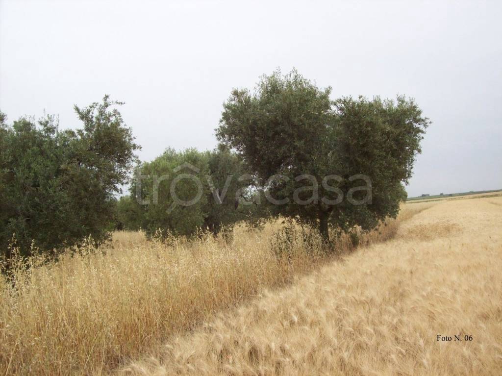 immagine annuncio 10 di 13