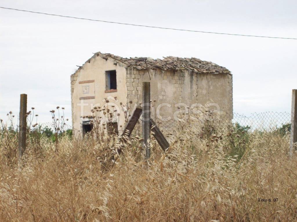 immagine annuncio 11 di 13