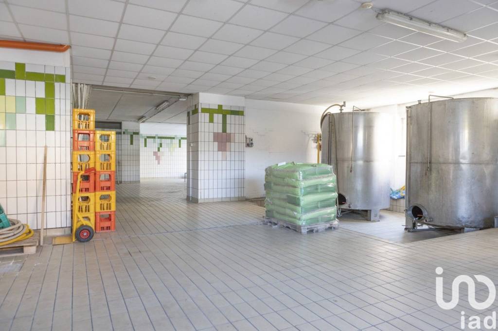 immagine annuncio 2 di 8