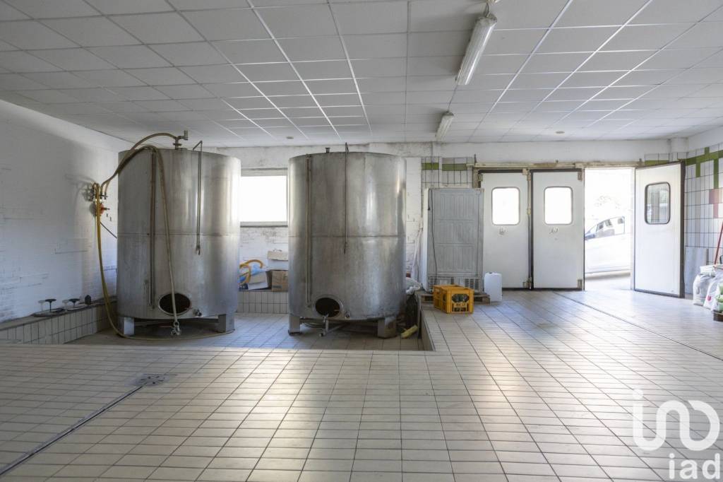 immagine annuncio 5 di 8