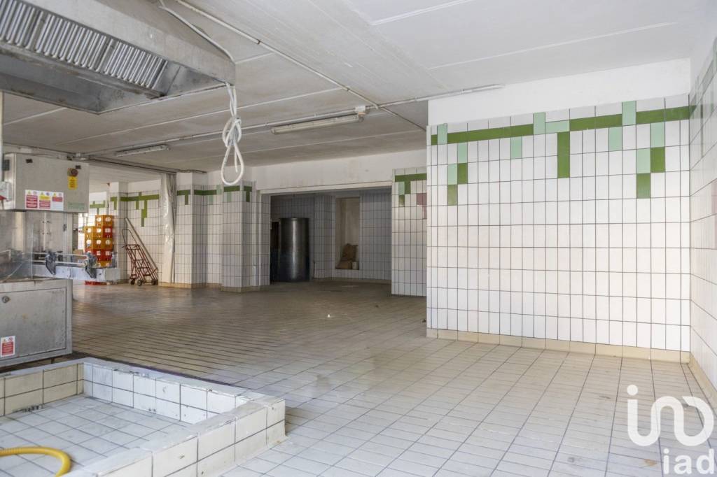 immagine annuncio 4 di 14