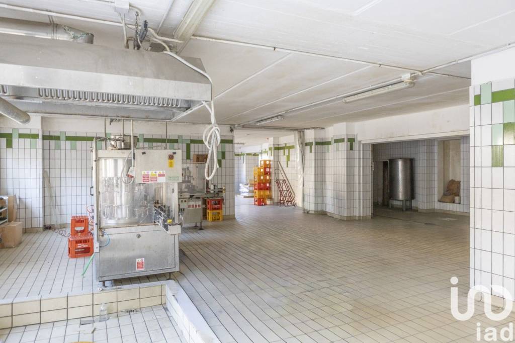 immagine annuncio 5 di 14