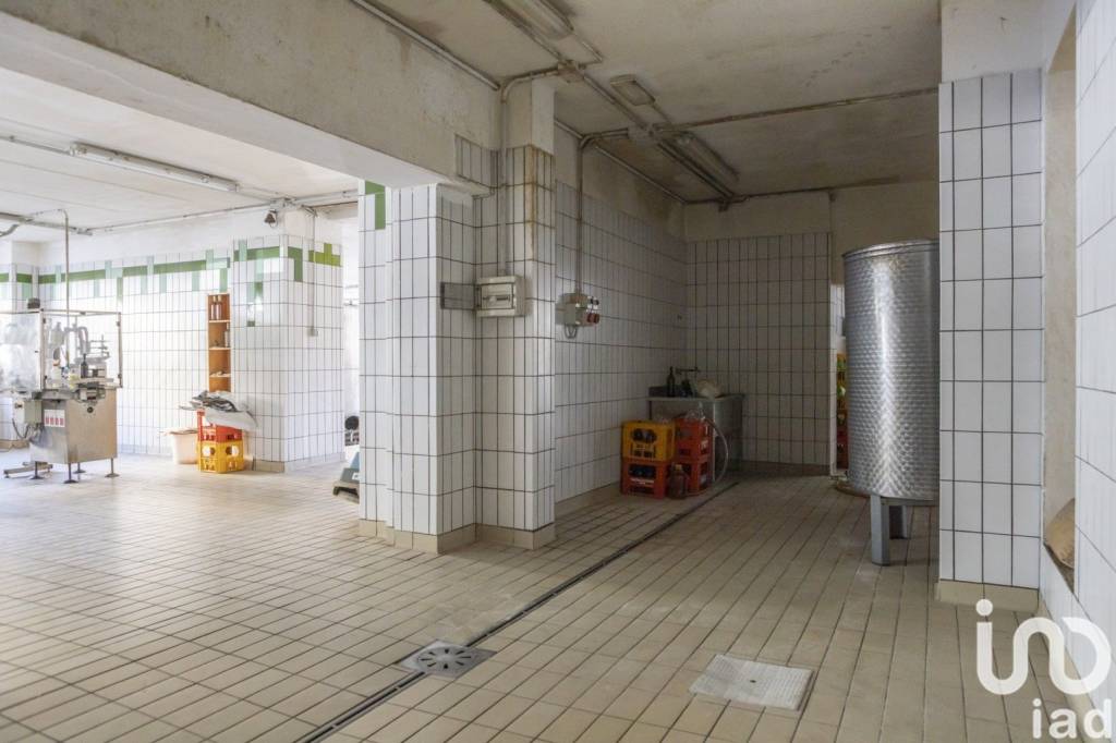 immagine annuncio 7 di 14