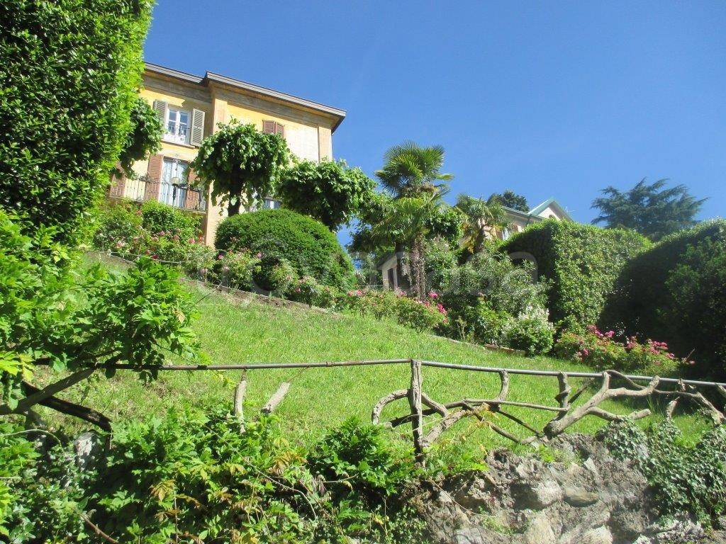 immagine annuncio 1 di 14