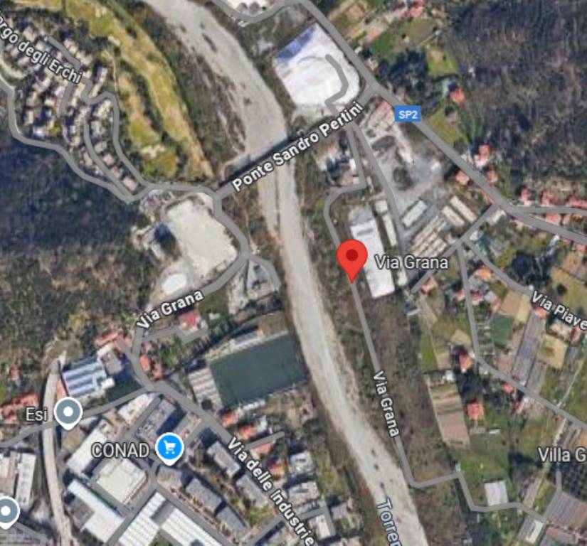 immagine annuncio 6 di 14