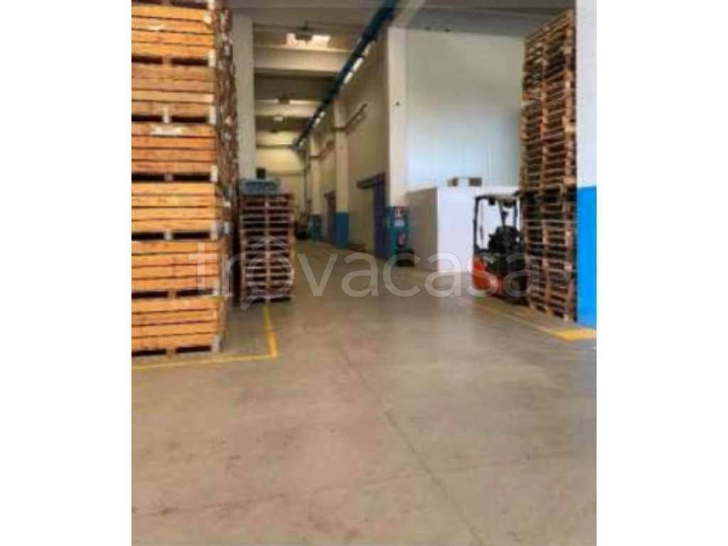 immagine annuncio 9 di 11