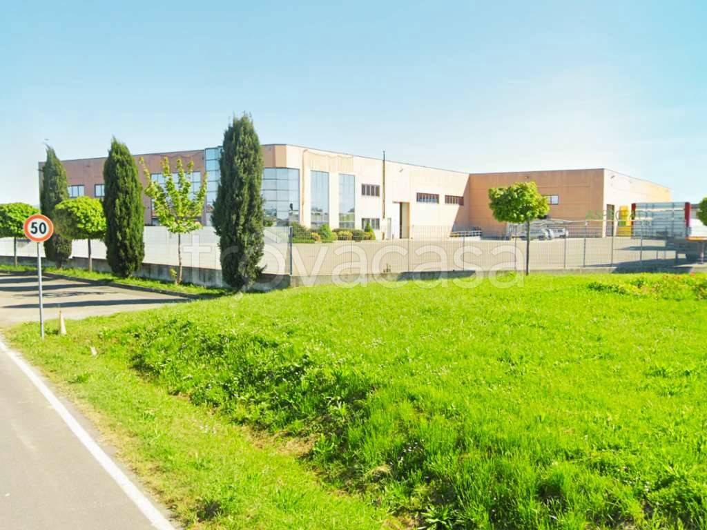 immagine annuncio 10 di 11