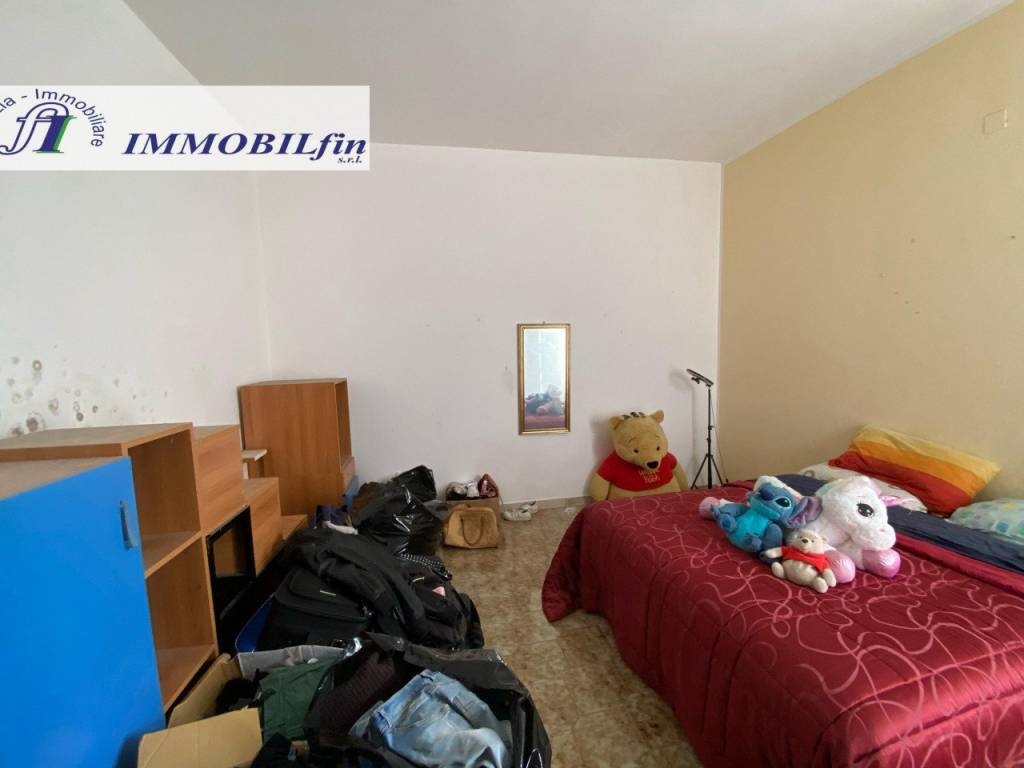 immagine annuncio 9 di 14