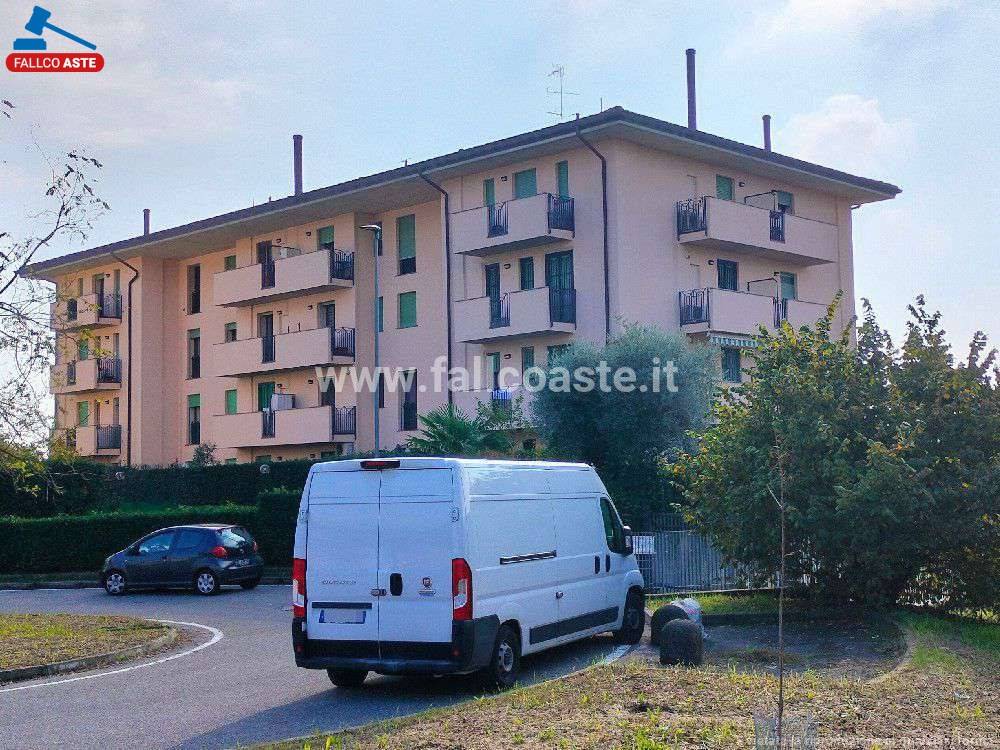 immagine annuncio 12 di 15