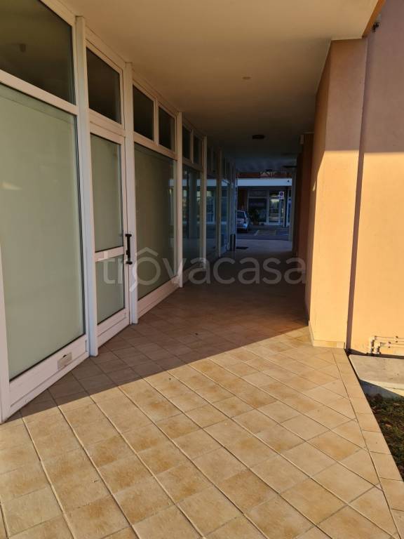 immagine annuncio 10 di 13