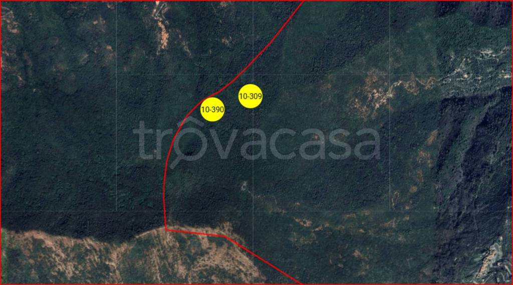 immagine annuncio 12 di 13