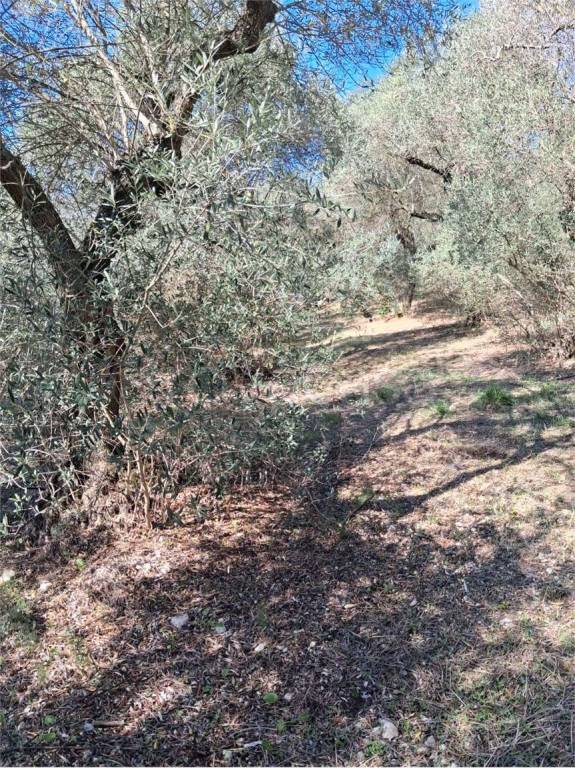 immagine annuncio 6 di 14