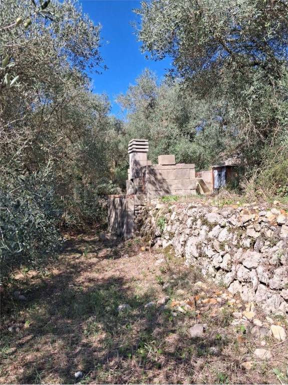 immagine annuncio 11 di 14