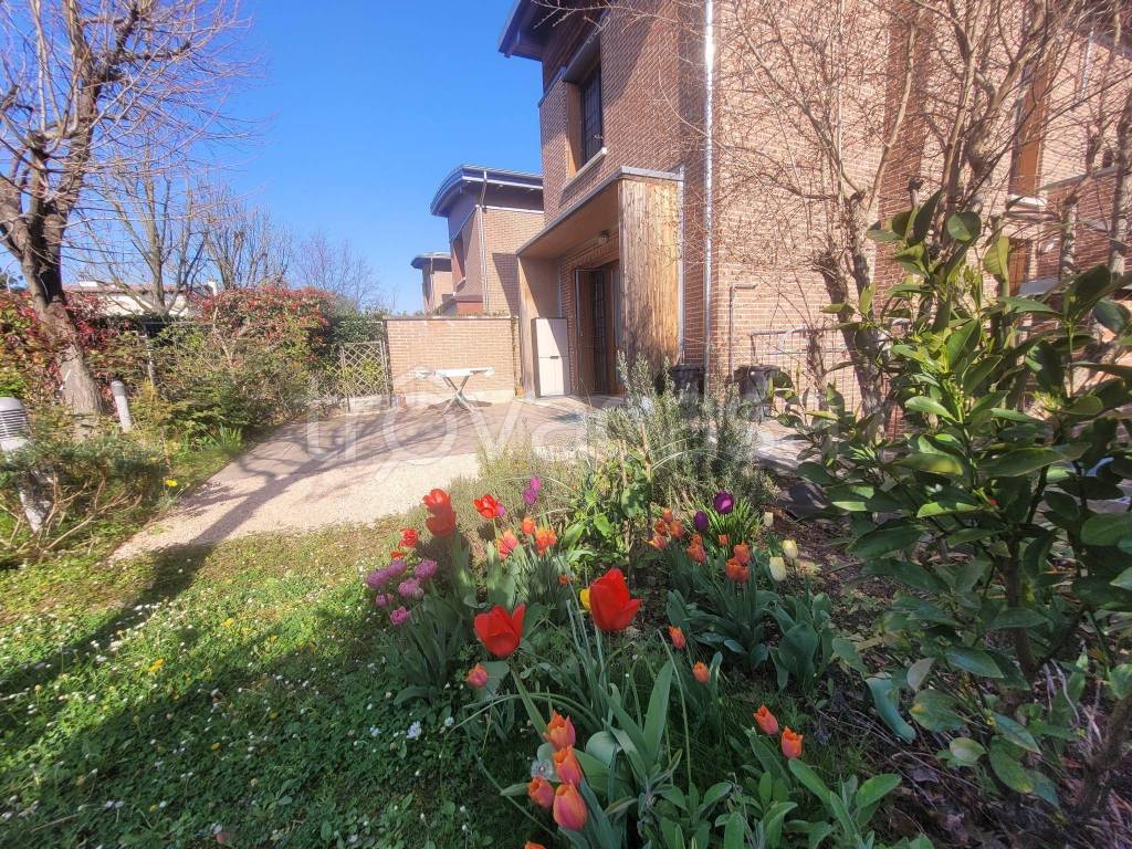 immagine annuncio 1 di 15