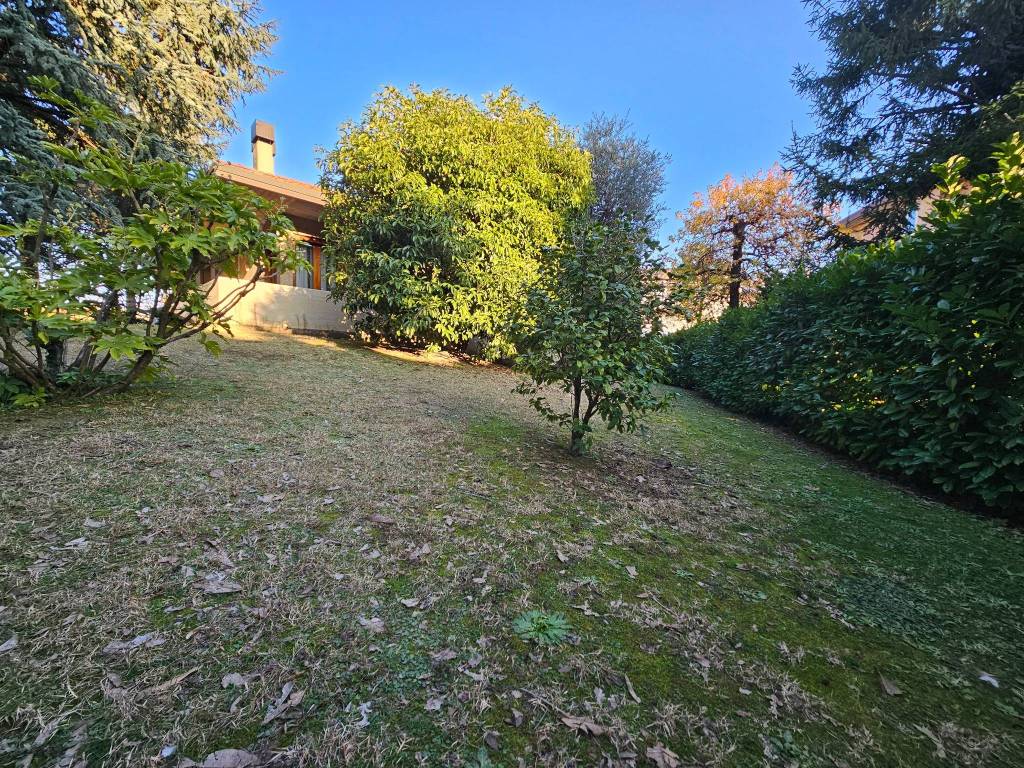 immagine annuncio 2 di 14