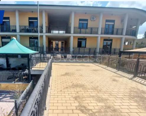 immagine annuncio 5 di 14