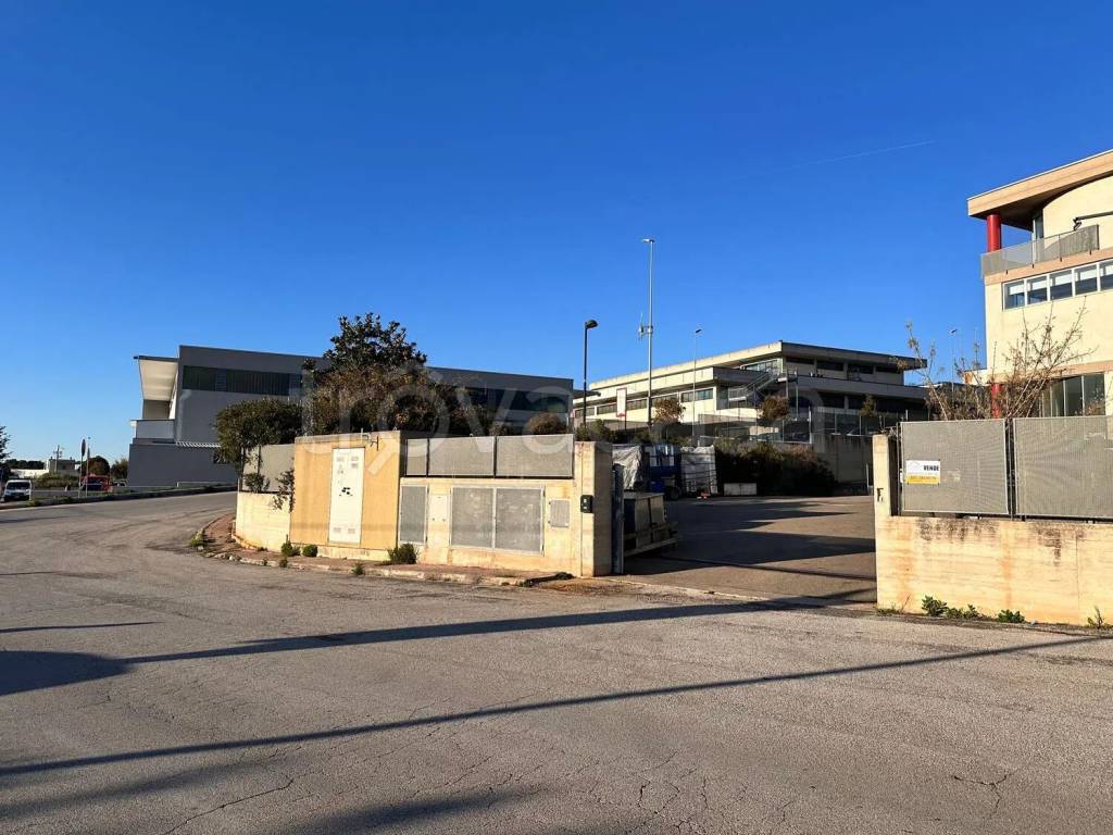 immagine annuncio 1 di 7