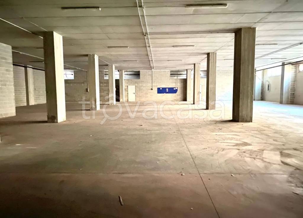 immagine annuncio 2 di 7