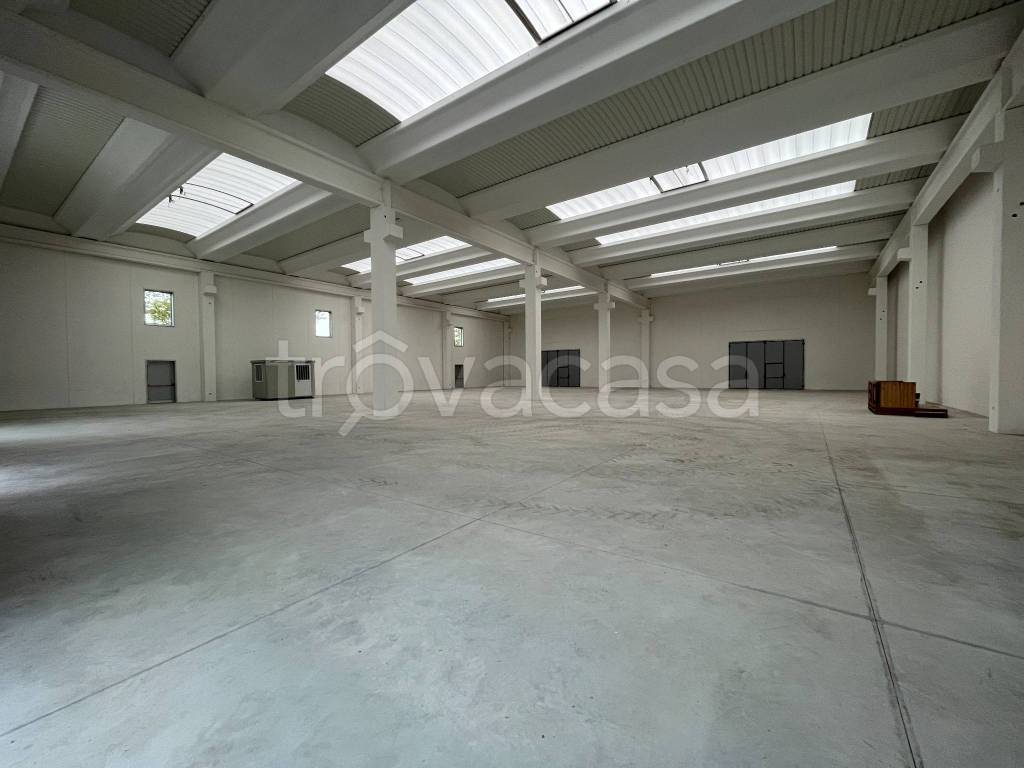 immagine annuncio 3 di 12