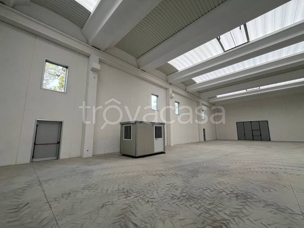 immagine annuncio 4 di 12