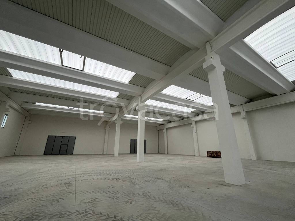 immagine annuncio 5 di 12