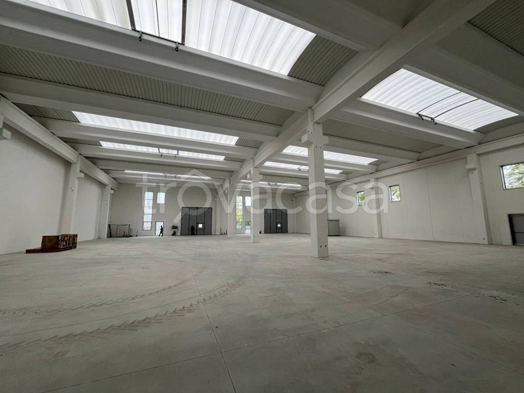 immagine annuncio 6 di 12