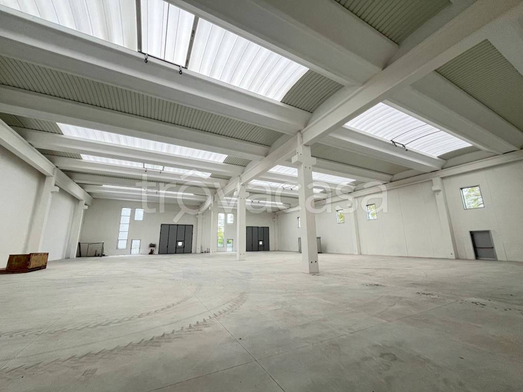 immagine annuncio 7 di 12