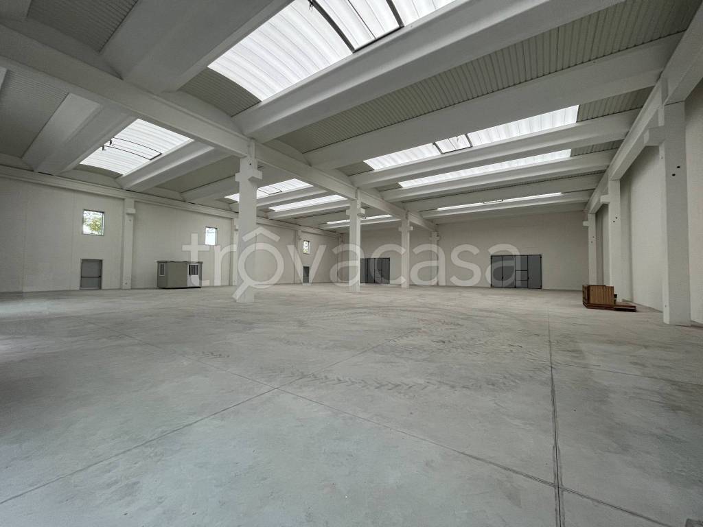 immagine annuncio 10 di 12