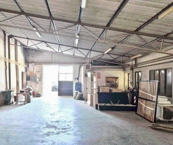 immagine annuncio 3 di 14