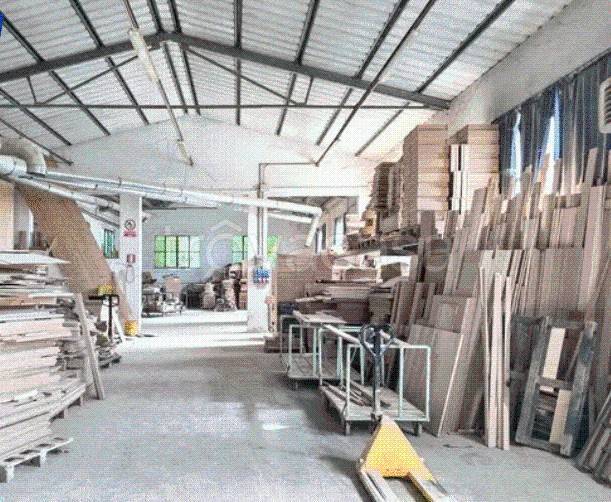 immagine annuncio 4 di 14