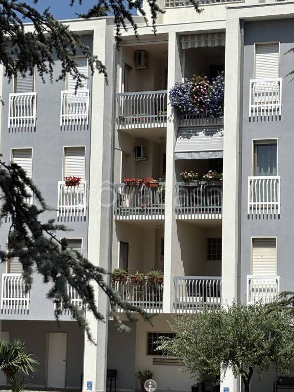 immagine annuncio 3 di 8