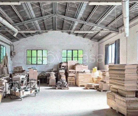 immagine annuncio 6 di 14