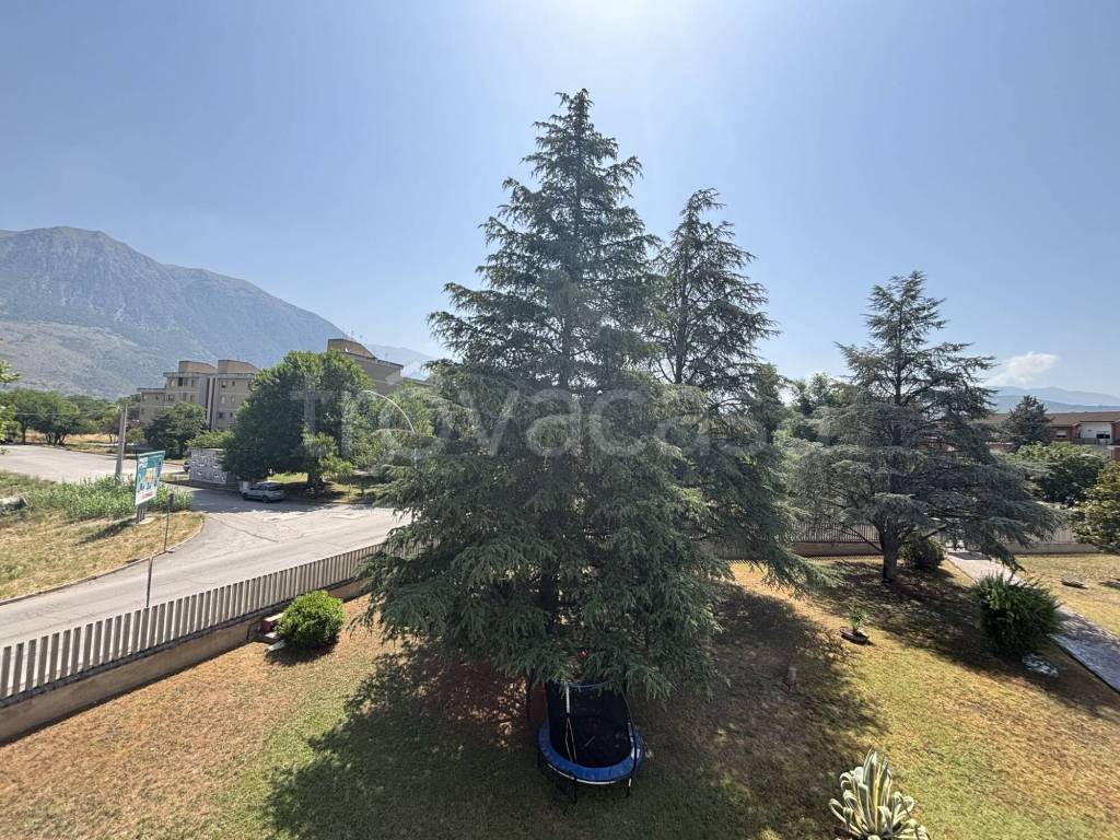 immagine annuncio 6 di 8