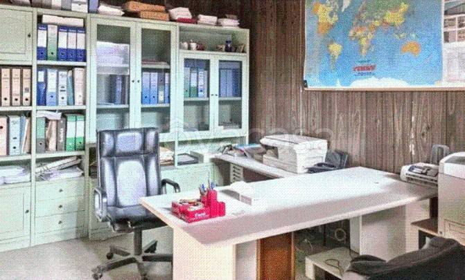 immagine annuncio 8 di 14