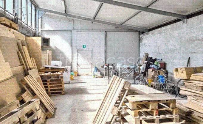 immagine annuncio 12 di 14