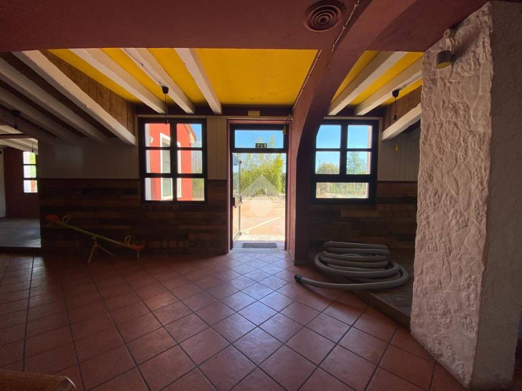 immagine annuncio 7 di 14