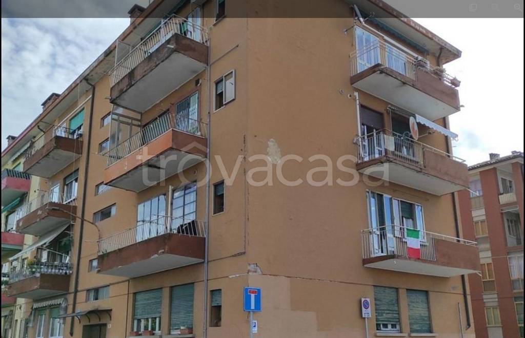 immagine annuncio 1 di 13