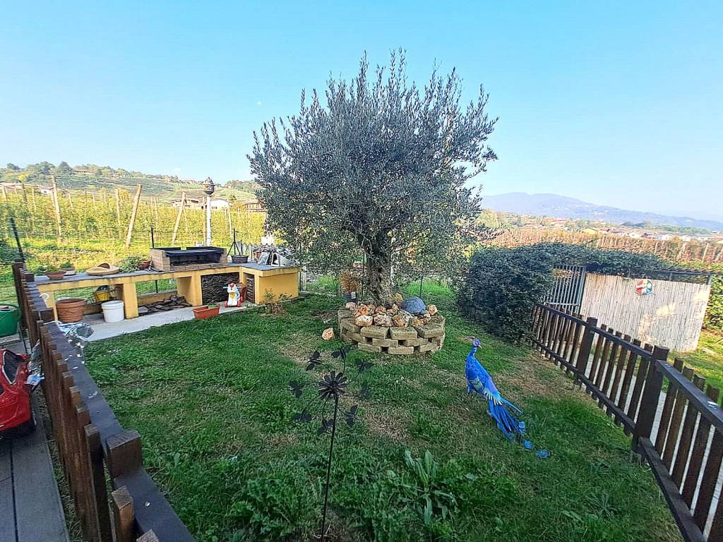 immagine annuncio 11 di 15