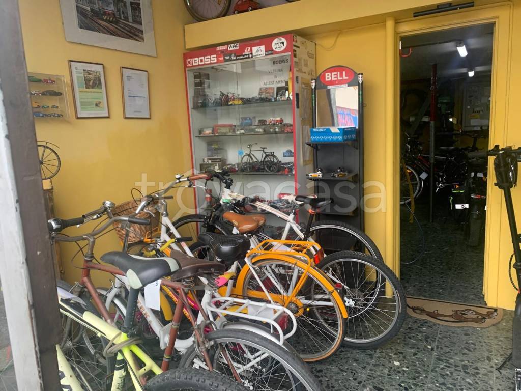 immagine annuncio 6 di 8