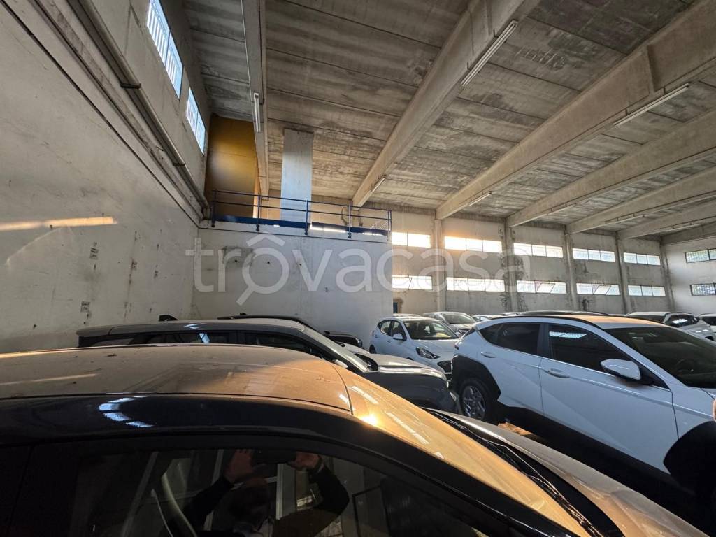 immagine annuncio 3 di 9