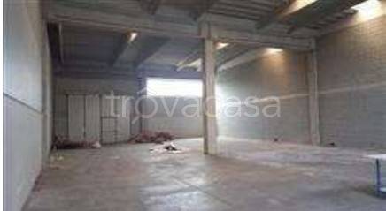 immagine annuncio 3 di 9