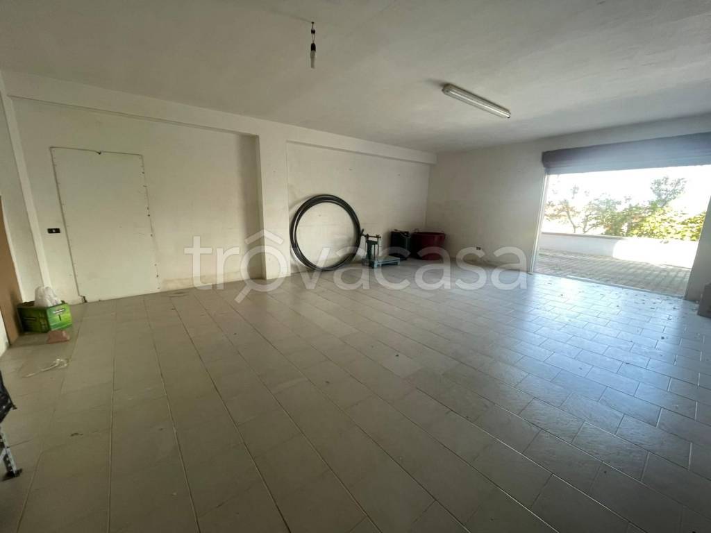 immagine annuncio 11 di 14