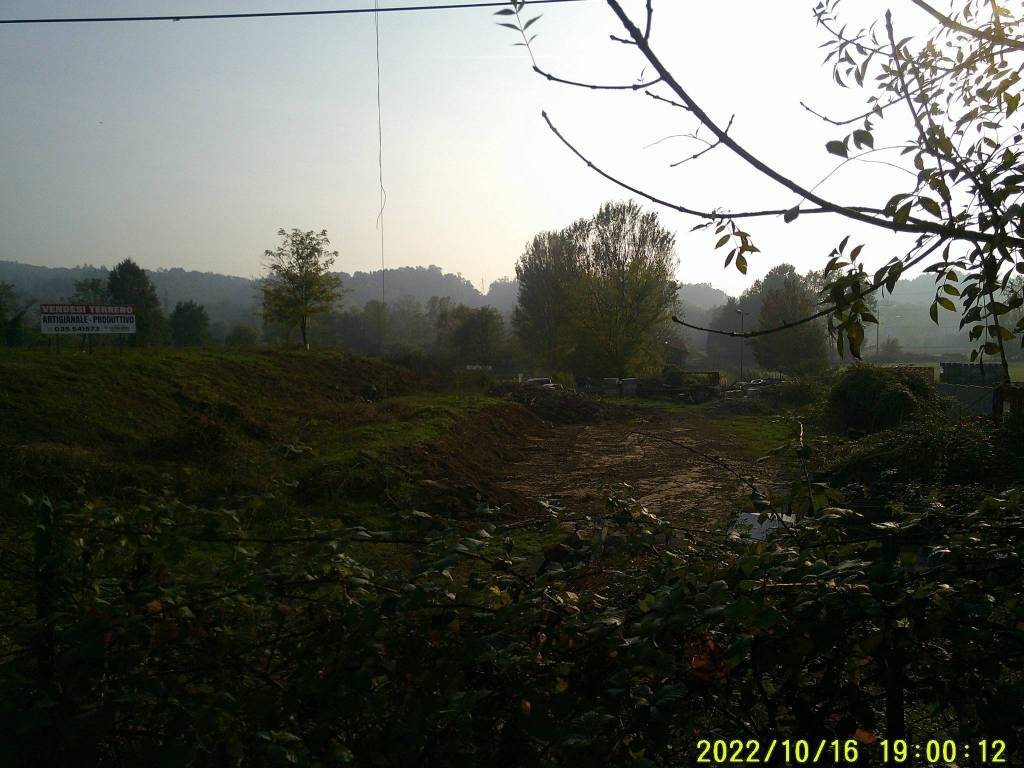 immagine annuncio 3 di 8