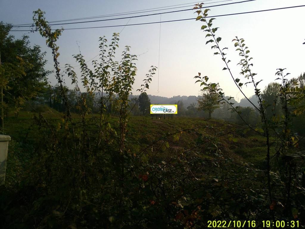 immagine annuncio 4 di 8