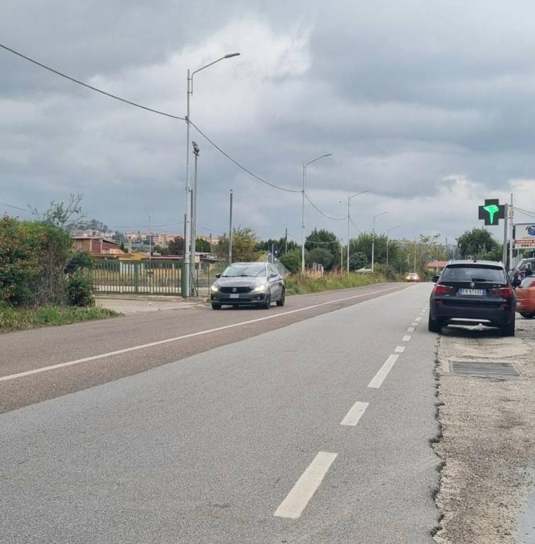 immagine annuncio 5 di 12