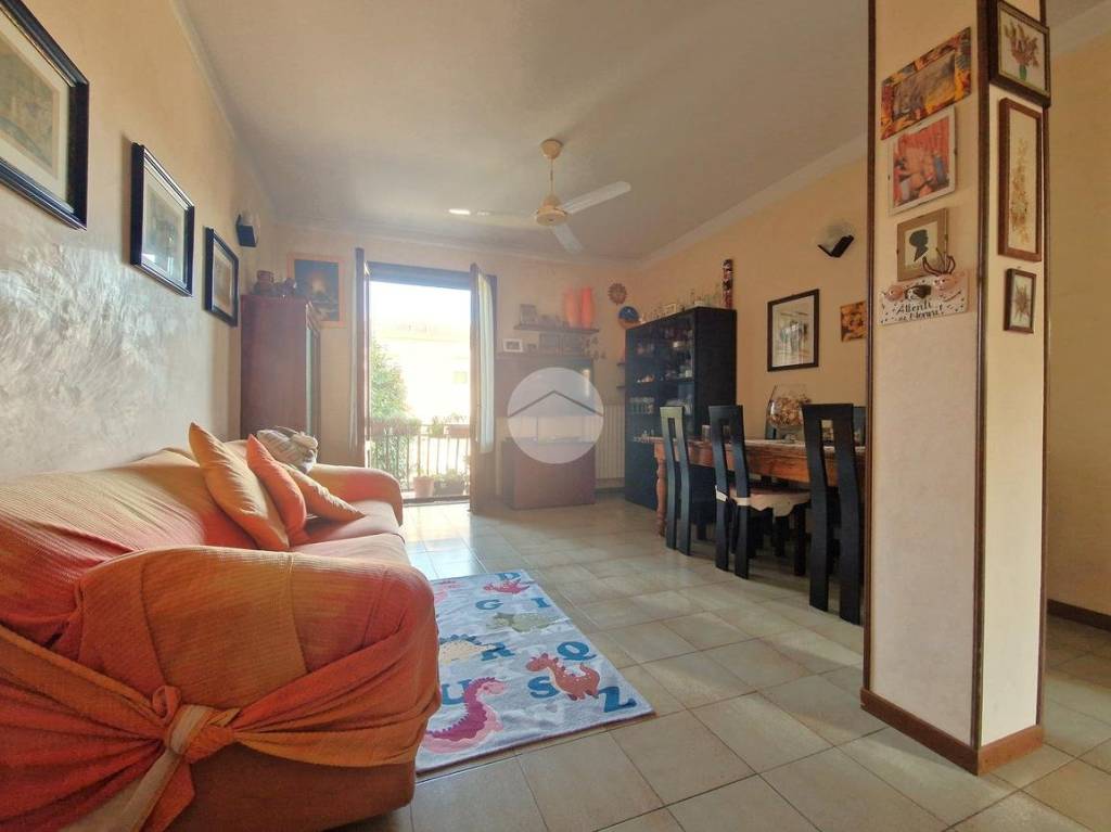 immagine annuncio 1 di 14